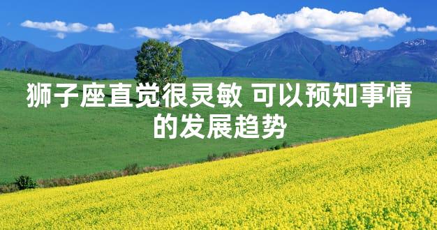 狮子座直觉很灵敏 可以预知事情的发展趋势